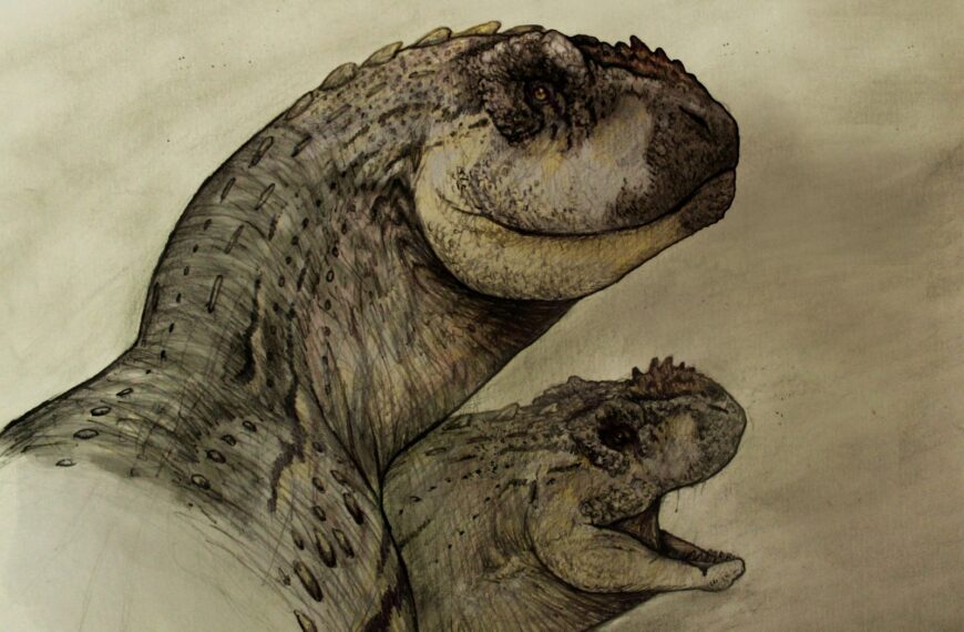 Cuando crecer no era la&hellip;