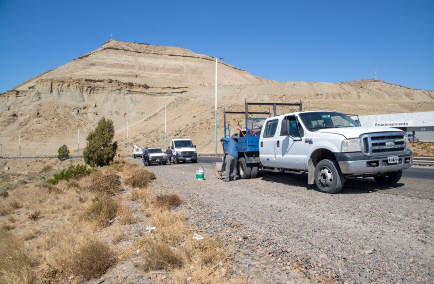Avanza la instalación de luminarias en la zona peatonal entre el Chalet Huergo y el Centro