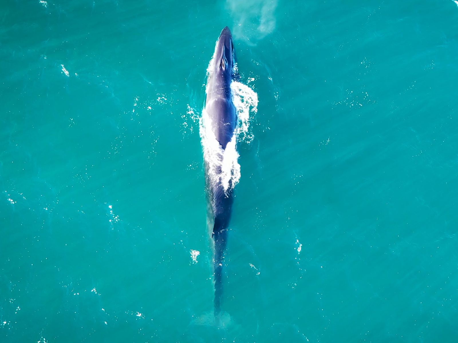 Punta Marqués cumple 40 años y lo celebra en comunidad