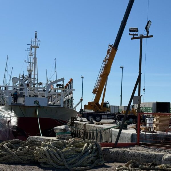 El “Fu Yuan Yu 7666” abrió hoy la temporada con 735 toneladas de calamar en Comodoro Rivadavia