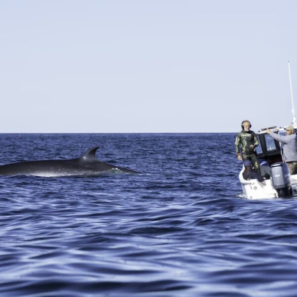 Othar anunció la concreción del Puerto Deportivo como una bisagra histórica del desarrollo de la ciudad