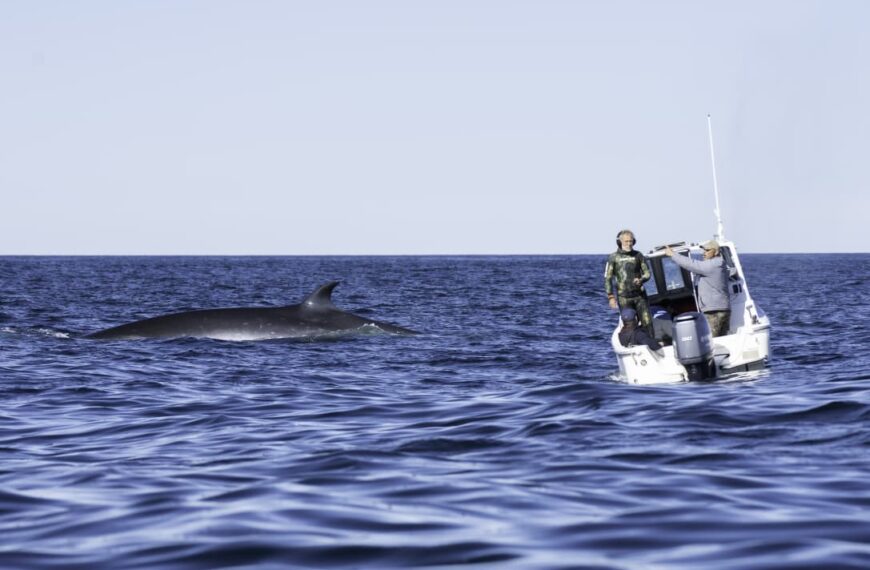 Othar anunció la concreción del Puerto Deportivo como una bisagra histórica del desarrollo de la ciudad