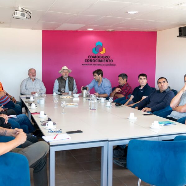 Avanzan los estudios técnicos para implementar un sistema de alerta temprana en el Cerro Hermitte