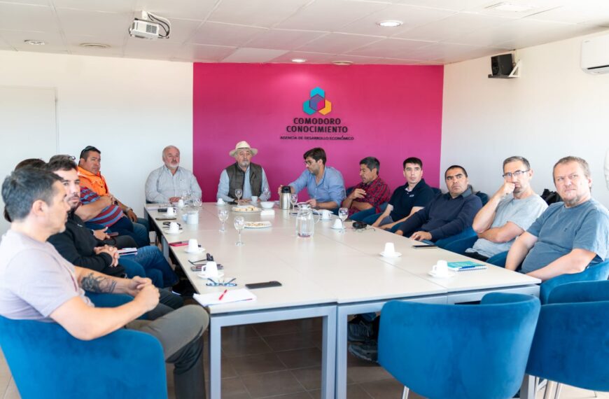 Avanzan los estudios técnicos para…