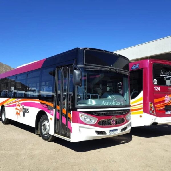 Impugnación por el transporte público: cuestionan la adjudicación a MR SRL