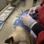 Continúa el operativo de control&hellip;