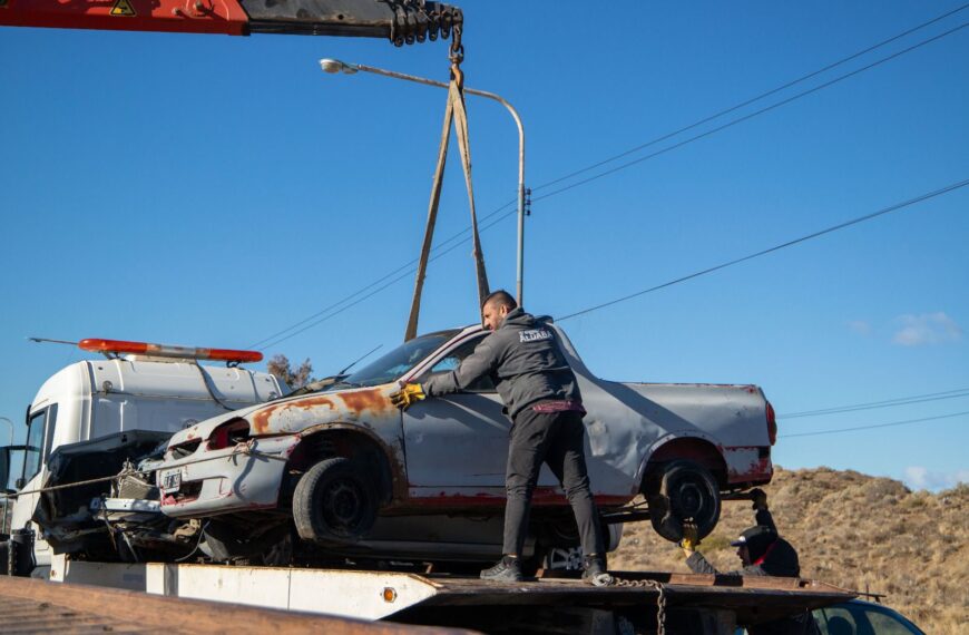 El Municipio continúa el operativo conjunto de remoción de vehículos secuestrados en Ruta 3 y 26