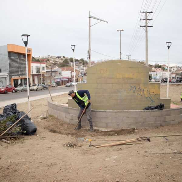 El Municipio intensificó controles a agencias de autos y labró 19 infracciones