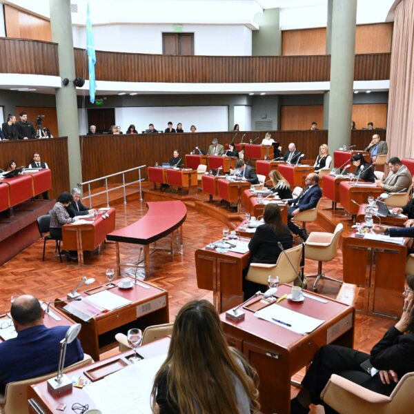 La Legislatura aprobó la continuidad del Comando Unificado para combatir el delito en Chubut