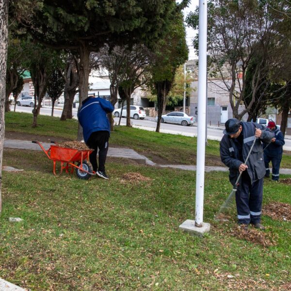 La Municipalidad avanza con tareas de mantenimiento integral en la ciudad