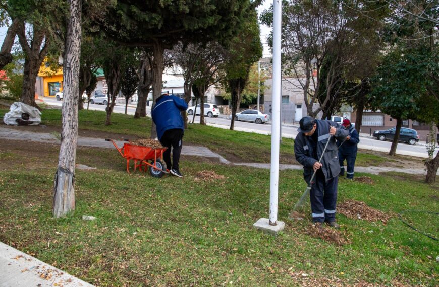 La Municipalidad avanza con tareas de mantenimiento integral en la ciudad