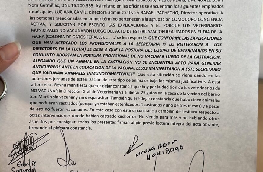 Fuerte denuncia de proteccionistas: liberaron&hellip;