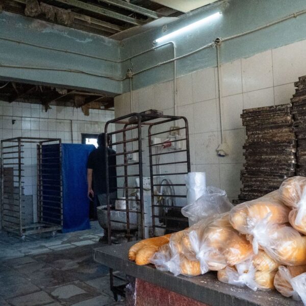 Clausuraron una agencia de autos, un taller y una panadería en zona norte
