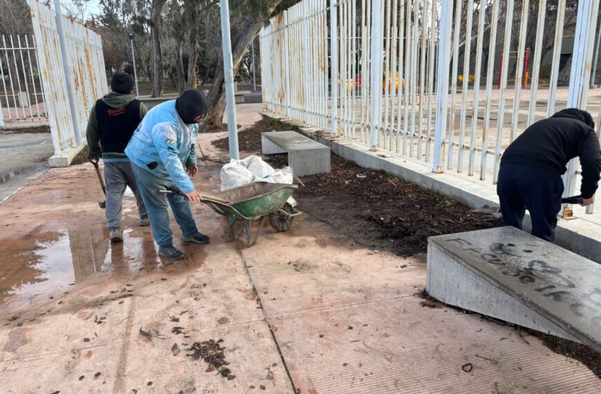 Se realizaron intensos trabajos de limpieza, reparación de luminarias y mobiliario en espacios públicos de zona norte