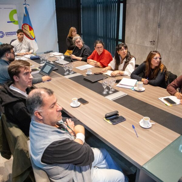 La Comisión de Emergencia avanza en herramientas para definir beneficios a familias afectadas por el desplazamiento del Cerro Hermitte