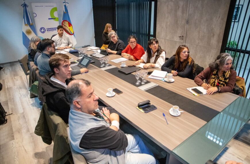 La Comisión de Emergencia avanza en herramientas para definir beneficios a familias afectadas por el desplazamiento del Cerro Hermitte