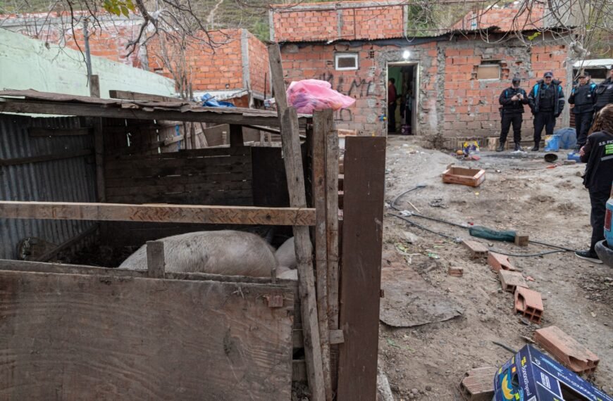 Detectan irregularidades en un predio dedicado a la crianza y venta de carne de cerdo