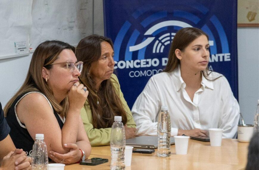 Despierta Chubut presentó una iniciativa&hellip;