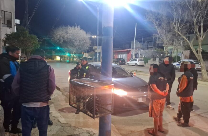 Circulaba con una licencia de conducir posiblemente falsa y sin seguro