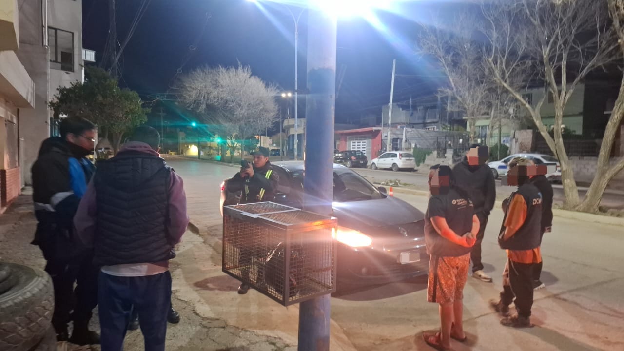 Circulaba con una licencia de conducir posiblemente falsa y sin seguro