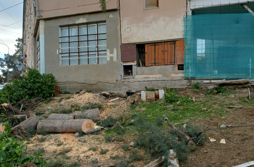 Trabajo articulado en el territorio: avanzan en el despeje de calles para dar inicio a obras en el barrio LU4