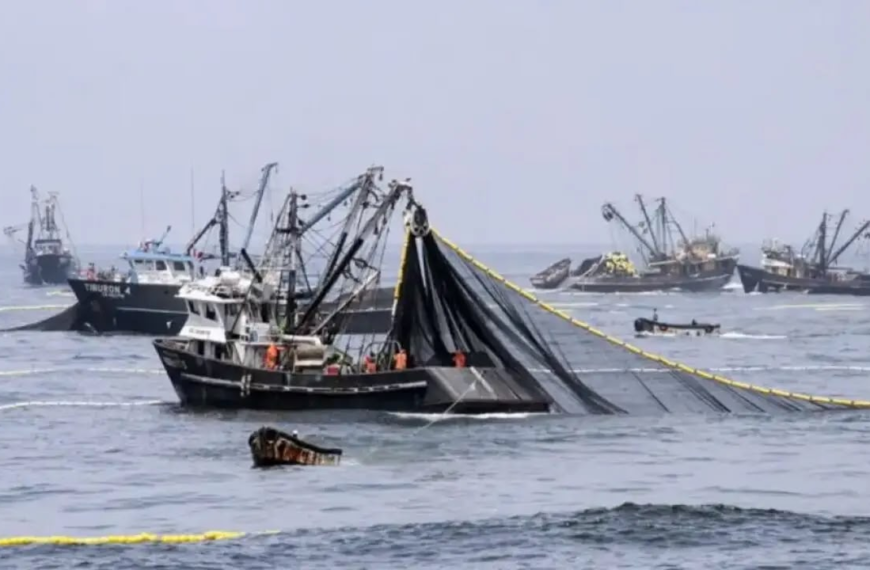 Pesca ilegal: Luque junto a diputados de UxP pidieron acelerar el tratamiento del proyecto que agrava las penas